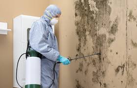 Mold Remediation for Rental Properties in Gilberts, IL